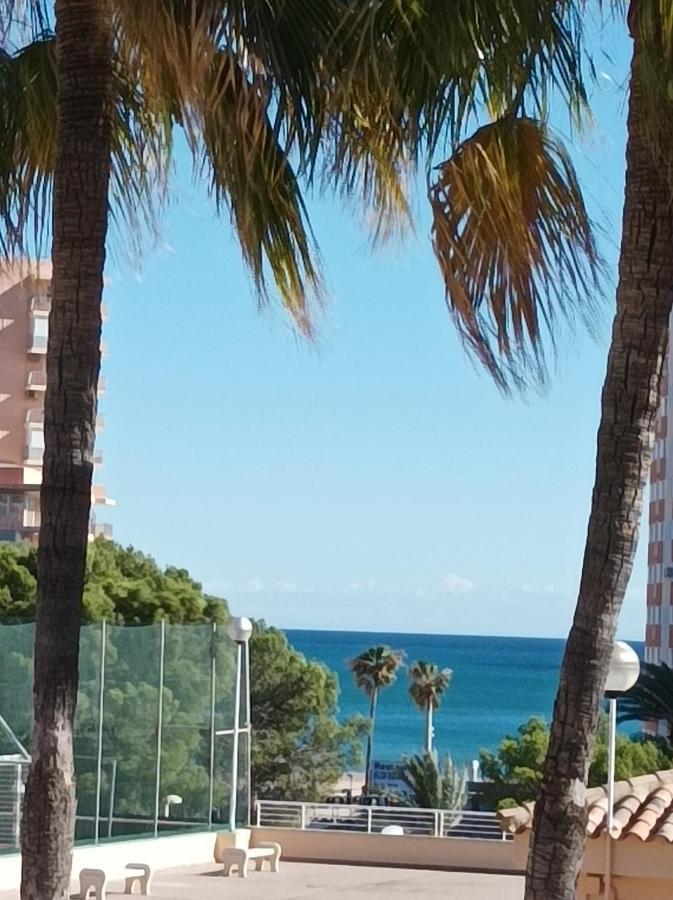 Appartement Almar Collection Cullera Bahia Park Extérieur photo